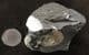 KOSMOCERAS ON MATRIX - JURASSIC WILTSHIRE.