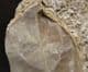 LEAF IN TRAVERTINE - HOLOCENE, CENTRAL JAVA.