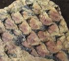 LEPDODENDRON BARK - CARBONIFEROUS, POLAND.