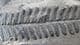 LOVELY SEED FERN FROND - CARBONIFEROUS, FRANCE.