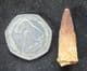 LOVELY SPINOSAURUS TOOTH - CRETACEOUS, MOROCCO.