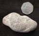 MARINE REPTILE COPROLITE FROM LYME REGIS.