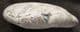 MARINE REPTILE COPROLITE FROM LYME REGIS.