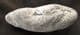 MARINE REPTILE COPROLITE FROM LYME REGIS.