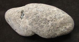 MARINE REPTILE COPROLITE FROM LYME REGIS.