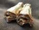 MULTICOLOURED STEPPE BISON TOOTH - PLEISTOCENE, NORTH SEA.