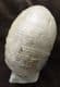 MUSEUM QUALITY EMILEIA BROCCHI - JURASSIC, DORSET.