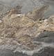 MUSEUM QUALITY PERMIAN FISH FROM GERMANY.