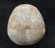 NICE COLLYRITES ELLIPTICA - JURASSIC, FRANCE.