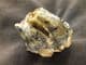 NICE WOOLLY RHINO TOOTH - DREDGED FROM THE NORTH SEA.