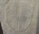 OGYGIOCARELLA SHOWING THE HYPOSTOME - ORDOVICIAN, SHROPSHIRE.