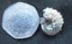 RARE GAULT CLAY AMMONITE - EUHOPLITES VULGARIS - FOLKESTONE.