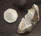 RATFISH JAW SECTION - OXFORD CLAY, PETERBOROUGH.