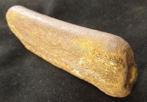REPTILE RIB - JURASSIC, OXFORDSHIRE.