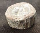 SHARK VERTEBRA - CRETACEOUS, CAMBRIDGE GREENSAND, CAMBRIDGESHIRE.