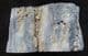SILICIFIED WOOD - JURASSIC, SUTHERLAND.