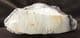 SILICIFIED WOOD - MIOCENE, NEW MEXICO.