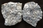 SPLIT SEPTARION NODULE FROM THE MARSTON MAGNA AMMONITE MARBLE - SOMERSET.