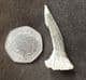SUPERB SAWFISH ROSTRAL PEG - CRETACEOUS, MOROCCO.