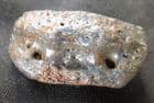 TELOCERAS PROTERUM  PHALANGE.- MIOCENE / PLIOCENE, FLORIDA.