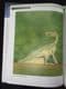 THE PRINCETON FIELD GUIDE TO DINOSAURS. BY GREGORY S. PAUL.