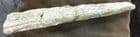 THORACOSAURUS NEOCESARIENSIS LOWER JAW - FROM THE HELL CREEK FORMATION OF SOUTH DAKOTA.