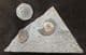 TRIANGLE OF MATRIX WITH 2 SPECIES OF AMMONITE - JURASSIC, LYME REGIS.