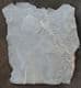 WELL PRESERVED SEED FERN FRONDS - CARBONIFEROUS, FRANCE.