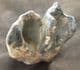 WOOLLY RHINO TOOTH - PLEISTOCENE, GERMANY.