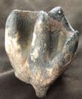 WOOLLY RHINO TOOTH - PLEISTOCENE, GERMANY.