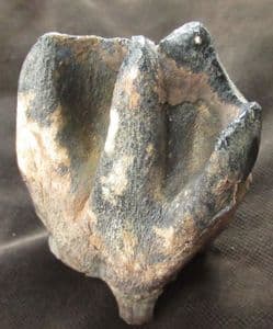 WOOLLY RHINO TOOTH - PLEISTOCENE, GERMANY.