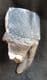 WOOLLY RHINO TOOTH SHOWING ROOTS - PLEISTOCENE, GERMANY.