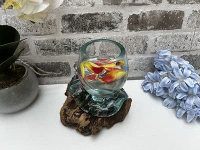 16cm Mini Goldfish Nuts Fruit Bowl – Molten Glass on Wooden Teak Root Handmade