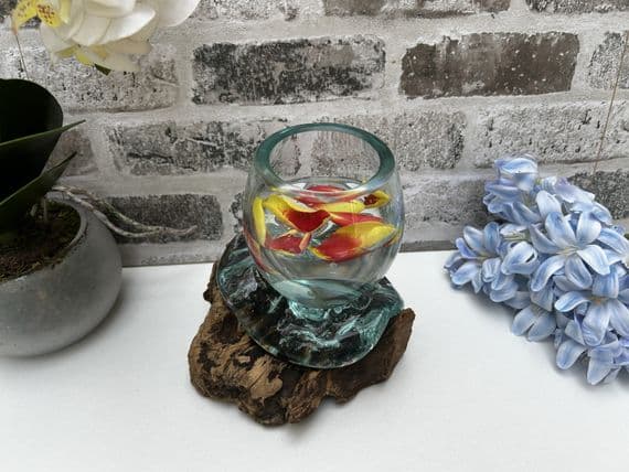 16cm Mini Goldfish Nuts Fruit Bowl – Molten Glass on Wooden Teak Root Handmade