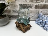 16cm Mini Goldfish Nuts Fruit Bowl – Molten Glass on Wooden Teak Root Handmade