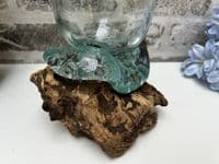 16cm Mini Goldfish Nuts Fruit Bowl – Molten Glass on Wooden Teak Root Handmade