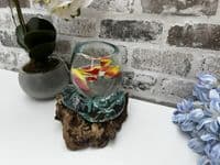 16cm Mini Goldfish Nuts Fruit Bowl – Molten Glass on Wooden Teak Root Handmade