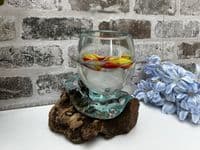 16cm Mini Goldfish Nuts Fruit Bowl – Molten Glass on Wooden Teak Root Handmade