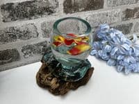 16cm Mini Goldfish Nuts Fruit Bowl – Molten Glass on Wooden Teak Root Handmade