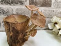 18cm Tealight / Incense Holder w/ Mushrooms Hand Carved Wooden Root Ornament