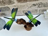2 Emperor Dragonfly Sculptures on Wooden Driftwood Base Ornament Gift