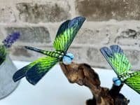 2 Emperor Dragonfly Sculptures on Wooden Driftwood Base Ornament Gift