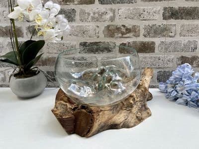 20-24cm Glass Bowl Molten Glass & Teak Wood Root - Fruit Nuts Display Pot Pourri