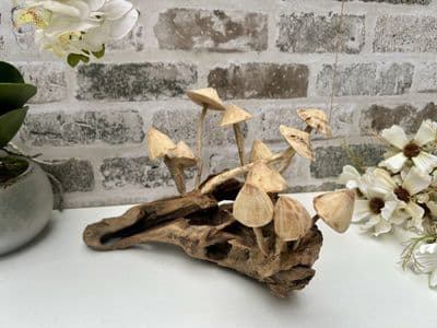 20cm Multi Mushroom on Wooden Coffee Root Ornament Figurine Hand Carved