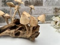 20cm Multi Mushroom on Wooden Coffee Root Ornament Figurine Hand Carved