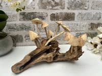 20cm Multi Mushroom on Wooden Coffee Root Ornament Figurine Hand Carved