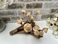 20cm Multi Mushroom on Wooden Coffee Root Ornament Figurine Hand Carved