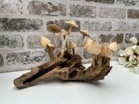 20cm Multi Mushroom on Wooden Coffee Root Ornament Figurine Hand Carved
