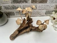 20cm Multi Mushroom on Wooden Coffee Root Ornament Figurine Hand Carved