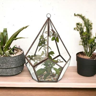20cm Small Glass Terrarium Plant Holder Diamond Succulent Oddment Candle Display